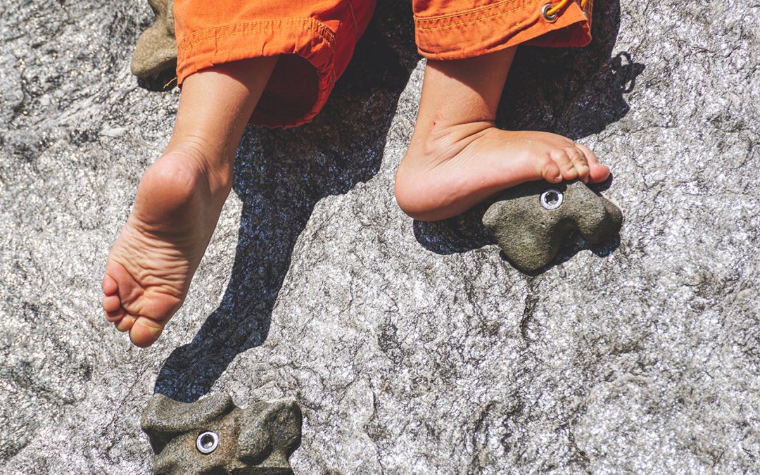 Cláusulas de accesibilidad digital como un instrumento de política social