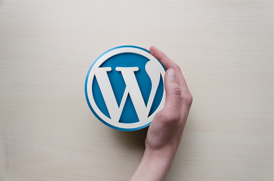 WordPress, una buena herramienta para las entidades sociales