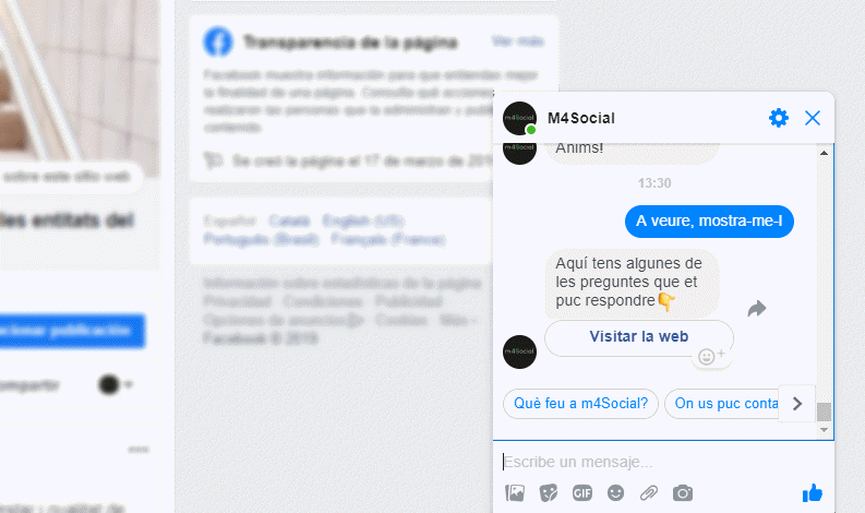 Cómo hacer un chatbot para una entidad social?