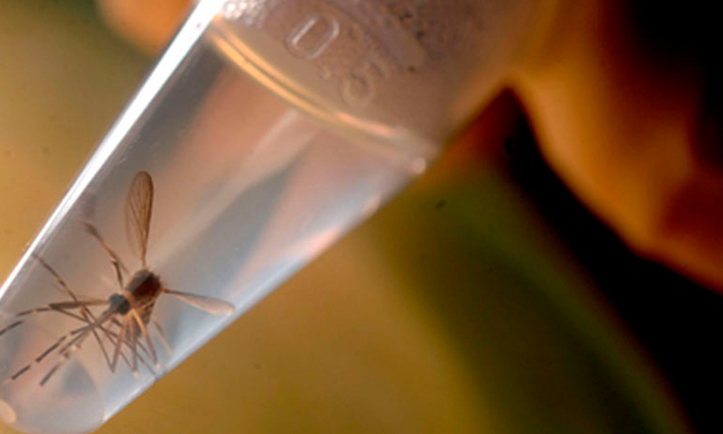 Apps para prevenir y combatir el virus del Zika